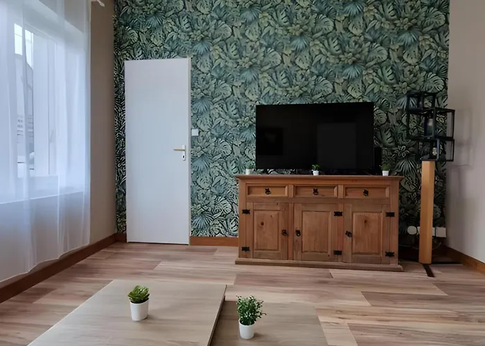 Le Lotus - Centre - 4pers - Reve Au Mans *